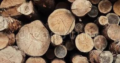 伐木业砍伐的森林松树<strong>树干</strong>. 森林伐木场。 倒下的<strong>树干</strong>。 4K